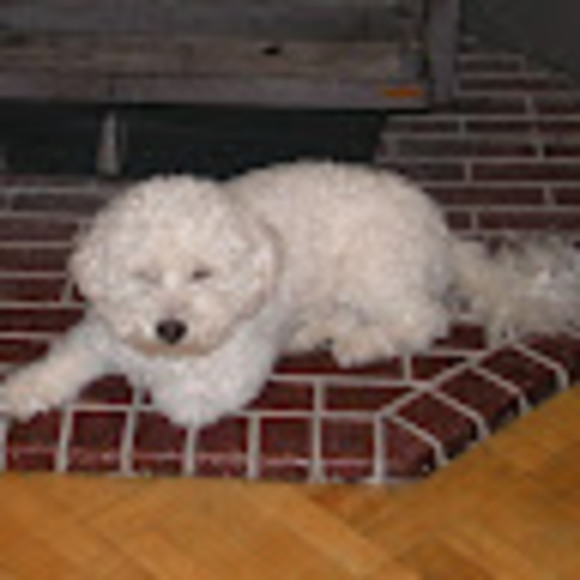 Meet your Posher, M - Picture 1 of 1